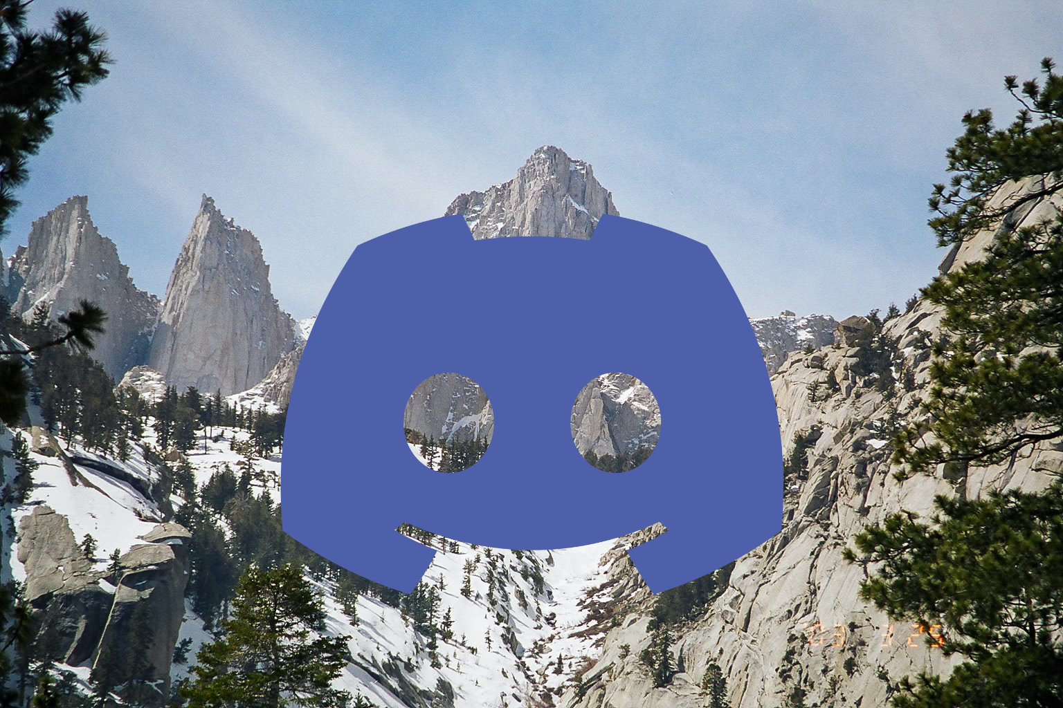 Whitney Bot